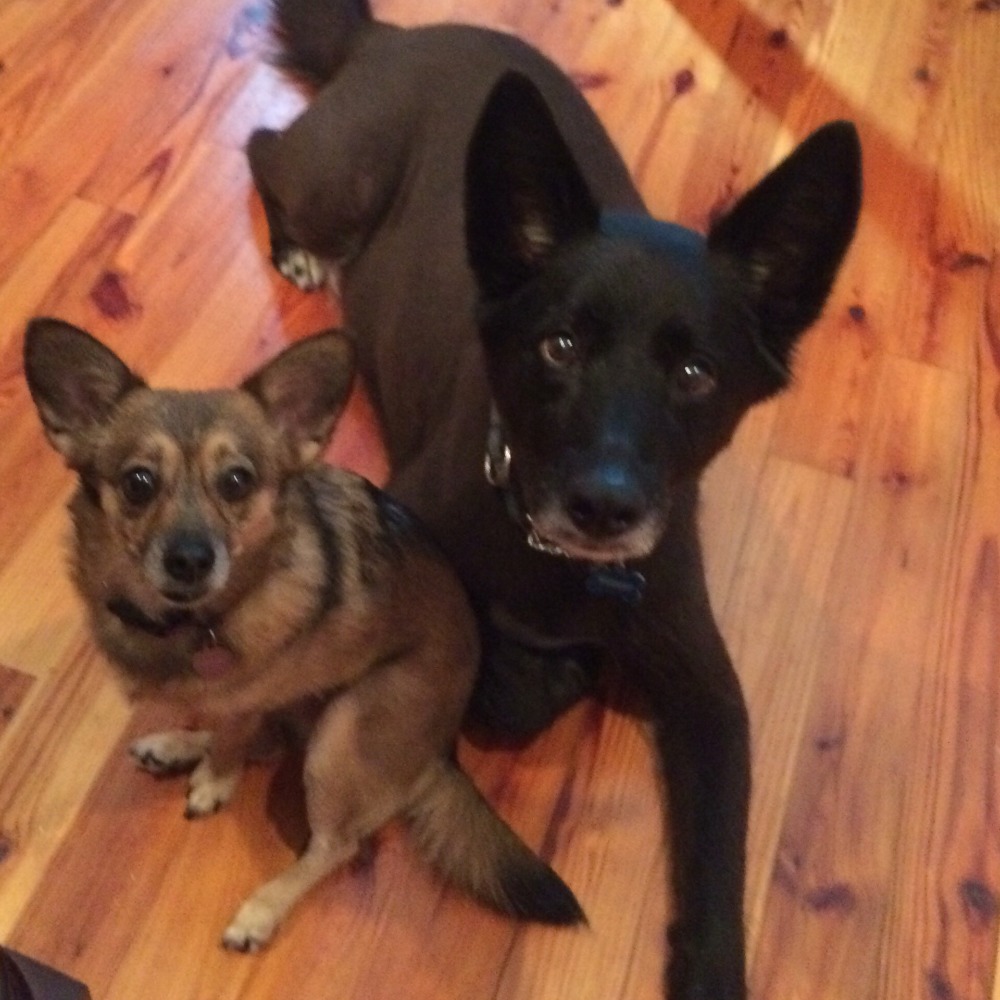 Meet your Posher, Jennifer